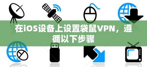 在iOS设备上设置袋鼠VPN，遵循以下步骤