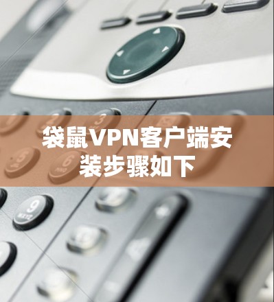 袋鼠VPN客户端安装步骤如下