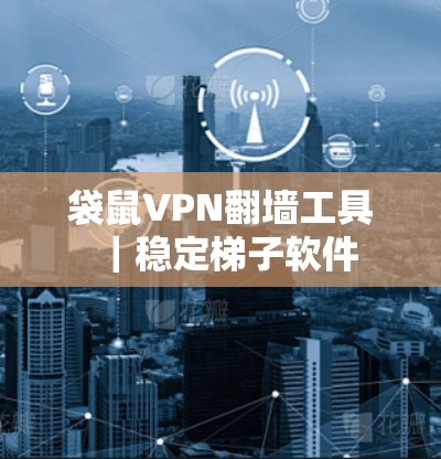 袋鼠VPN翻墙工具|稳定梯子软件 袋鼠VPN翻墙工具|稳定梯子软件
