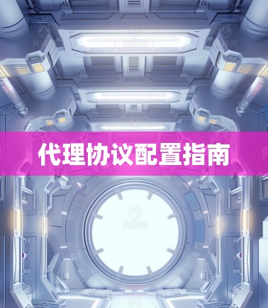 代理协议配置指南 代理协议配置指南