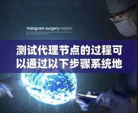 测试代理节点的过程可以通过以下步骤系统地进行，以确保其正常运作和隐私保护能力