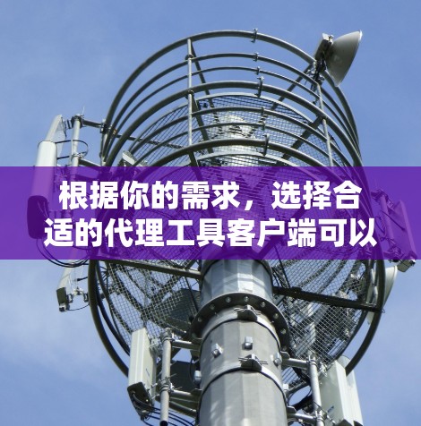 根据你的需求，选择合适的代理工具客户端可以分为以下步骤