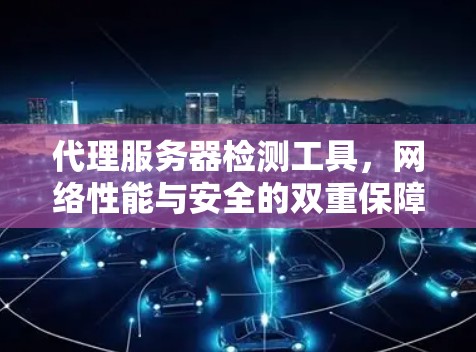 代理服务器检测工具,网络性能与安全的双重保障 代理服务器检测工具,网络性能与安全的双重保障