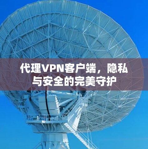 代理VPN客户端，隐私与安全的完美守护
