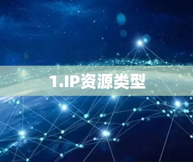 1.IP资源类型 1.IP资源类型
