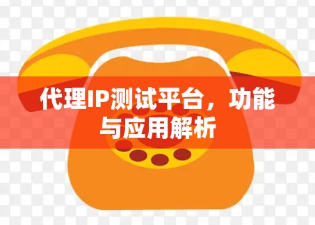 代理IP测试平台，功能与应用解析