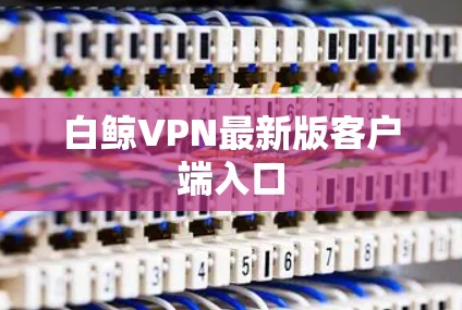 白鲸VPN最新版客户端入口