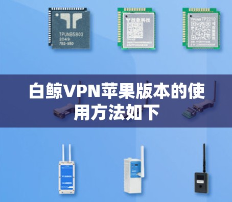 白鲸VPN苹果版本的使用方法如下 白鲸VPN苹果版本的使用方法如下