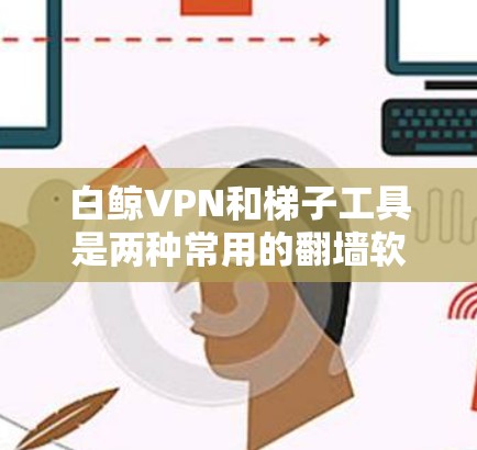 白鲸VPN和梯子工具是两种常用的翻墙软件,分别适用于不同需求的用户。以下是它们的详细分析 白鲸VPN和梯子工具是两种常用的翻墙软件,分别适用于不同需求的用户。以下是它们的详细分析