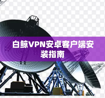 白鲸VPN安卓客户端安装指南