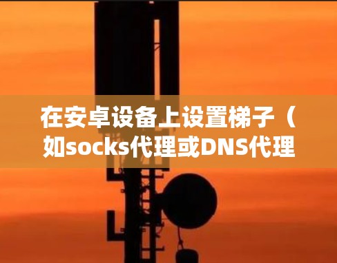 在安卓设备上设置梯子(如socks代理或DNS代理)可以帮助你绕过网络限制,访问受限的网站或服务。以下是设置安卓梯子的常见步骤,假设你使用的是socks5代理