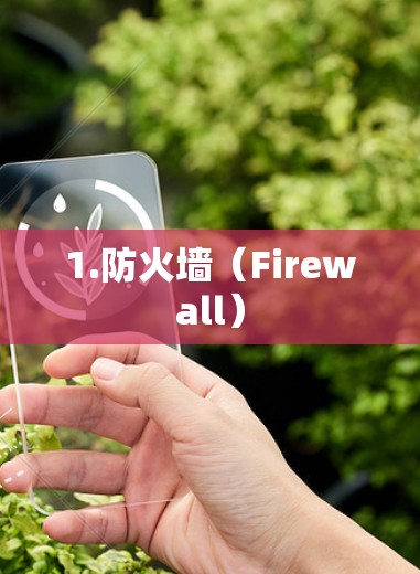 1.防火墙(Firewall)
