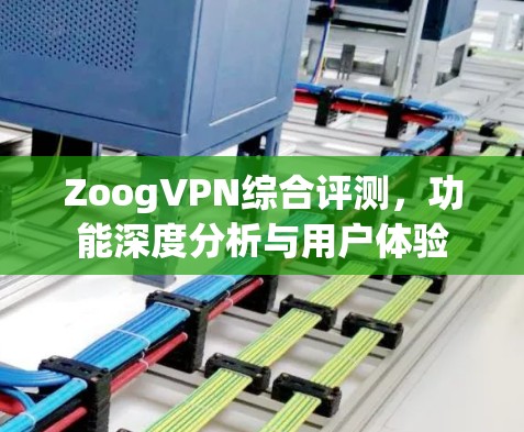ZoogVPN综合评测，功能深度分析与用户体验
