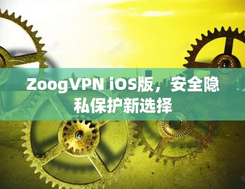 ZoogVPN iOS版,安全隐私保护新选择 ZoogVPN iOS版,安全隐私保护新选择