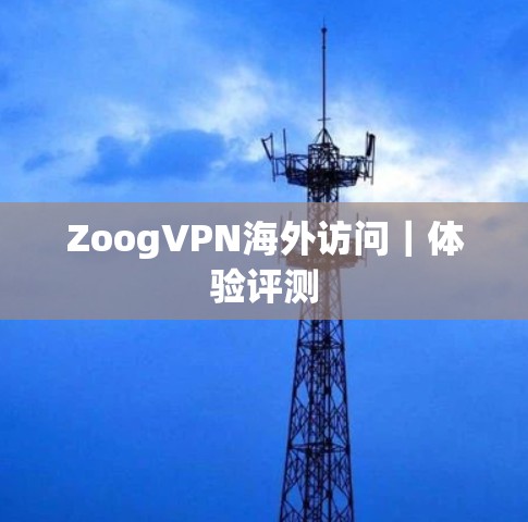 ZoogVPN海外访问｜体验评测