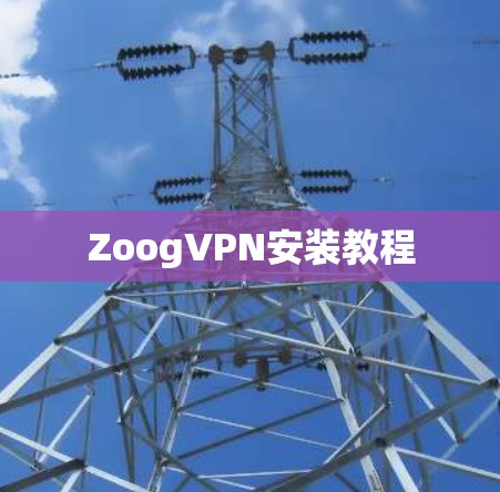 ZoogVPN安装教程 ZoogVPN安装教程