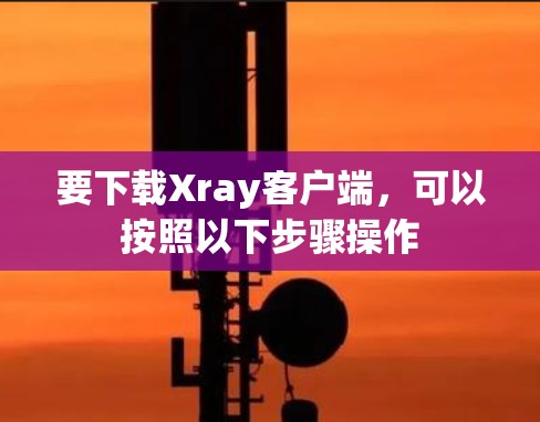 要下载Xray客户端,可以按照以下步骤操作 要下载Xray客户端,可以按照以下步骤操作