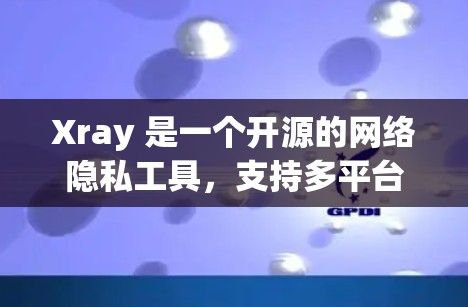 Xray 是一个开源的网络隐私工具，支持多平台（Windows、macOS、Linux）使用。以下是使用 Xray 客户端的基本教程，假设你已经下载并安装了 Xray 客户端