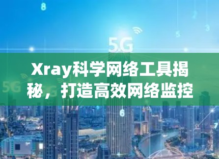 Xray科学网络工具揭秘,打造高效网络监控与安全新解决方案 Xray科学网络工具揭秘,打造高效网络监控与安全新解决方案