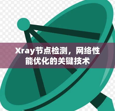 Xray节点检测,网络性能优化的关键技术 Xray节点检测,网络性能优化的关键技术