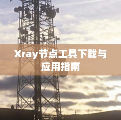 Xray节点工具下载与应用指南 Xray节点工具下载与应用指南