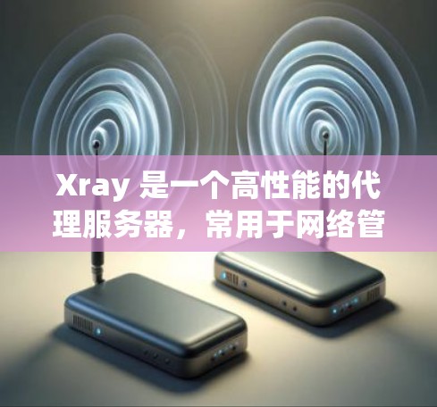 Xray 是一个高性能的代理服务器，常用于网络管理、过滤和控制。以下是一些关于 Xray 代理规则配置的常见内容和示例