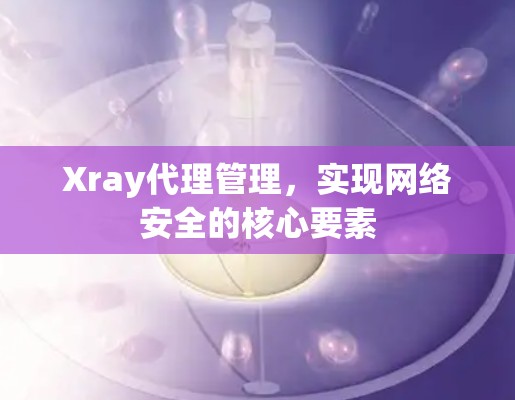 Xray代理管理，实现网络安全的核心要素