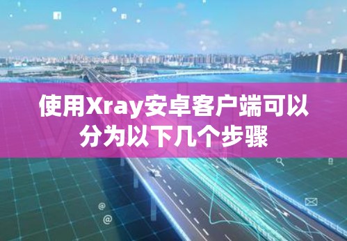 使用Xray安卓客户端可以分为以下几个步骤 使用Xray安卓客户端可以分为以下几个步骤