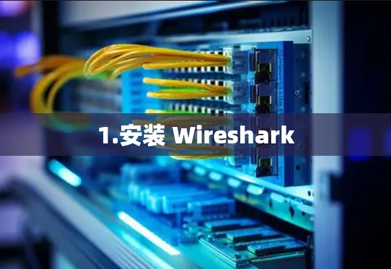 1.安装 Wireshark