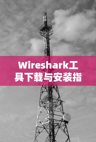 Wireshark工具下载与安装指南 Wireshark工具下载与安装指南
