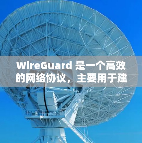 WireGuard 是一个高效的网络协议,主要用于建立安全且高性能的点对点(P2P)或服务器与客户端的网络连接。以下是使用 WireGuard 的基本步骤和相关信息