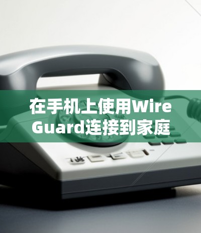 在手机上使用WireGuard连接到家庭网络，可以按照以下步骤进行操作
