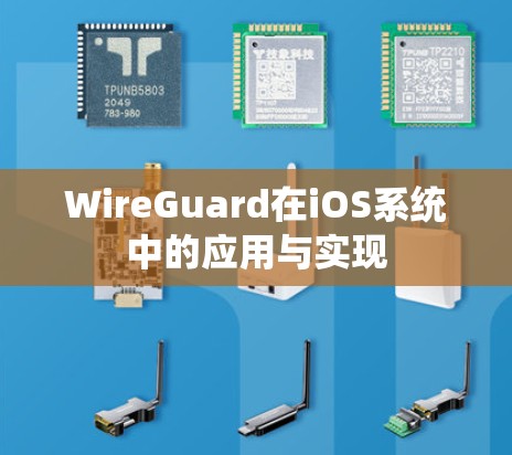 WireGuard在iOS系统中的应用与实现