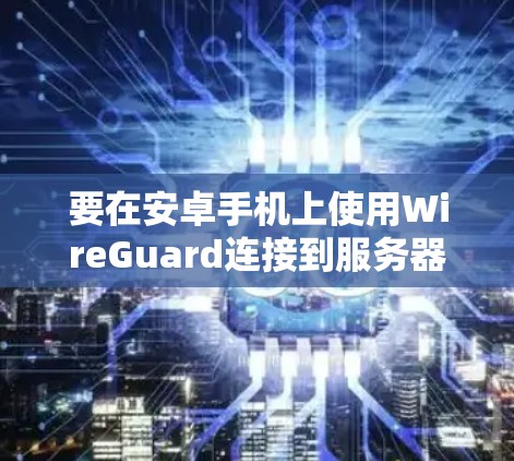 要在安卓手机上使用WireGuard连接到服务器，可以按照以下步骤操作