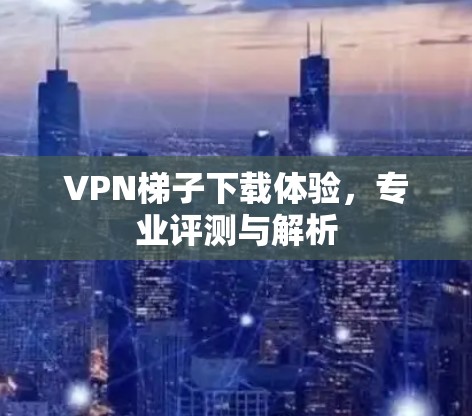 VPN梯子下载体验，专业评测与解析