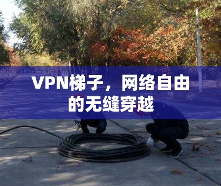 VPN梯子,网络自由的无缝穿越 VPN梯子,网络自由的无缝穿越