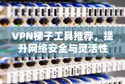 VPN梯子工具推荐,提升网络安全与灵活性 VPN梯子工具推荐,提升网络安全与灵活性