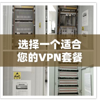 选择一个适合您的VPN套餐需要综合考虑您的需求和具体情况。以下是根据您的需求整理的建议和步骤