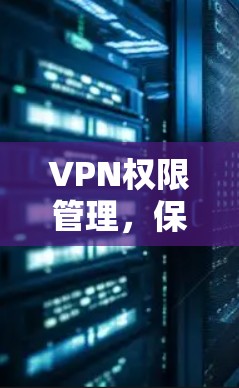 VPN权限管理,保障网络安全的关键