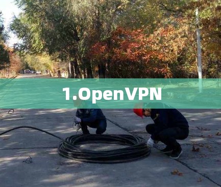 1.OpenVPN 1.OpenVPN