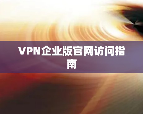 VPN企业版官网访问指南
