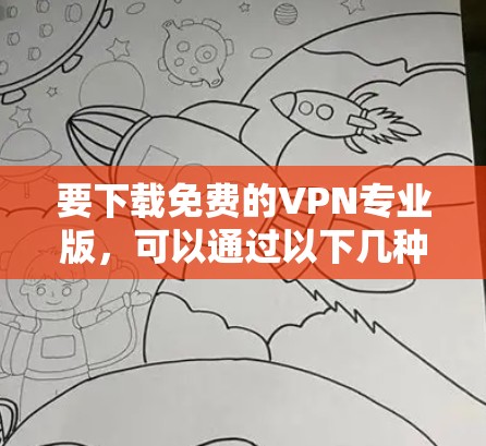 要下载免费的VPN专业版,可以通过以下几种方式尝试