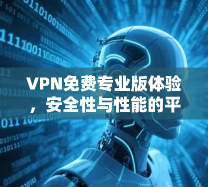 VPN免费专业版体验,安全性与性能的平衡之道