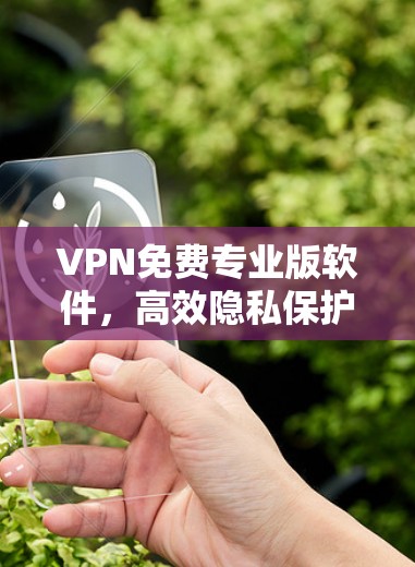 VPN免费专业版软件,高效隐私保护与技术深度解析