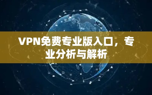VPN免费专业版入口,专业分析与解析