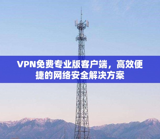 VPN免费专业版客户端,高效便捷的网络安全解决方案