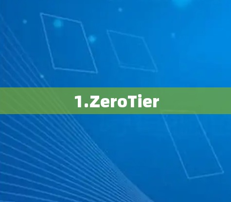 1.ZeroTier 1.ZeroTier