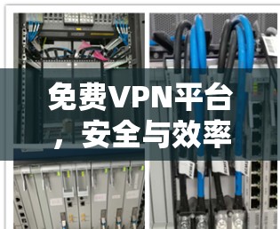 免费VPN平台,安全与效率的平衡 免费VPN平台,安全与效率的平衡