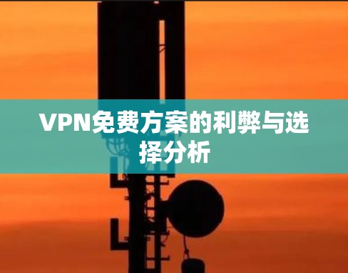 VPN免费方案的利弊与选择分析
