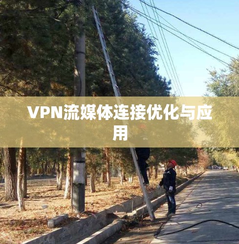 VPN流媒体连接优化与应用 VPN流媒体连接优化与应用